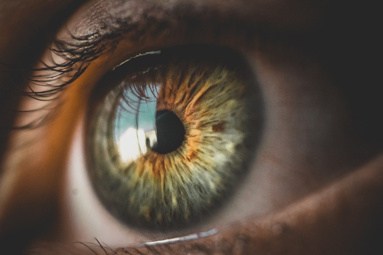 [OCT Aplicaciones] Imágenes multimodales del ojo seco por OCT Image
